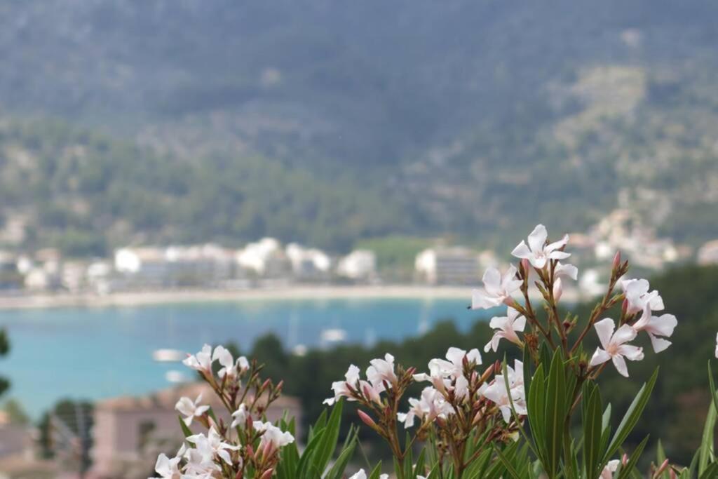 Apartamento En El Puerto De Soller Con Gran Terraza Privada Y Vistas Al Mar. Piscina Comunitaria. Localizado En Un Zona Tranquila Y Muy Soleada. Wifi Gratis Disponible. Parking. 外观 照片